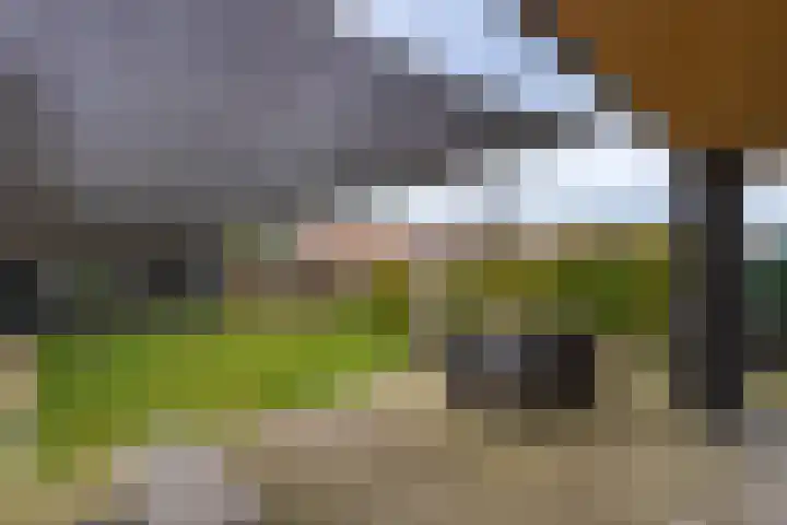 Albionstraat 24 Leunen thumbnail 20