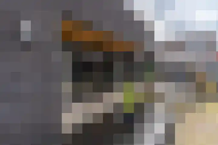 Albionstraat 24 Leunen thumbnail 21