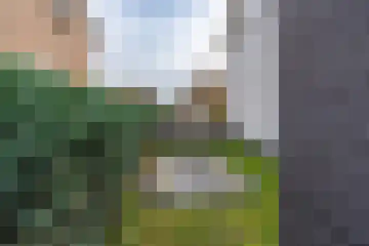 Albionstraat 24 Leunen thumbnail 22