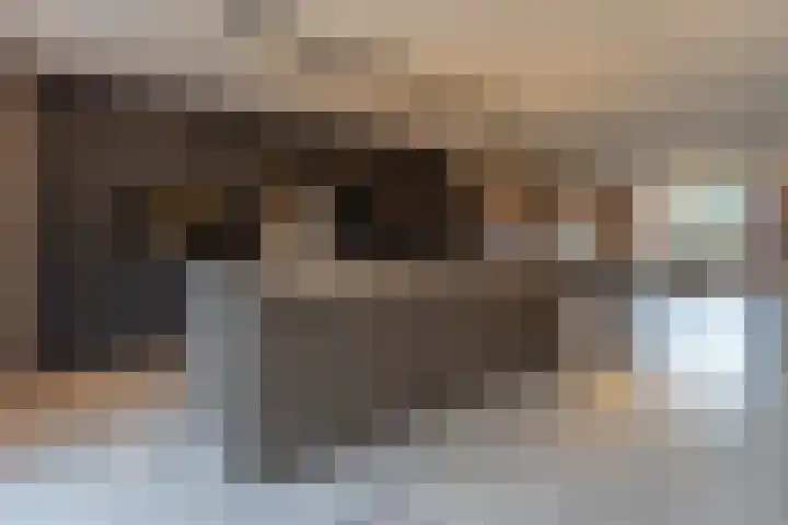 Albionstraat 24 Leunen thumbnail 27