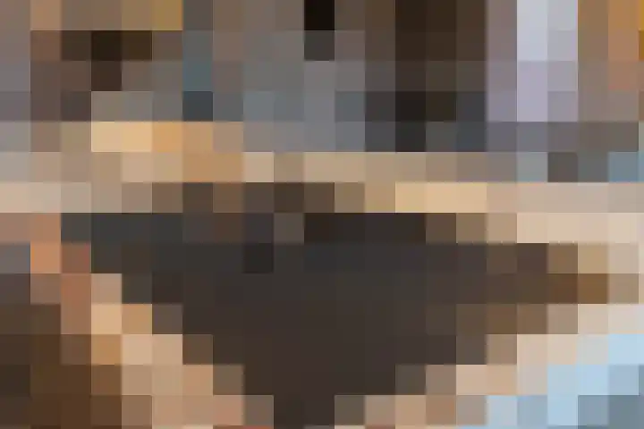 Albionstraat 24 Leunen thumbnail 29