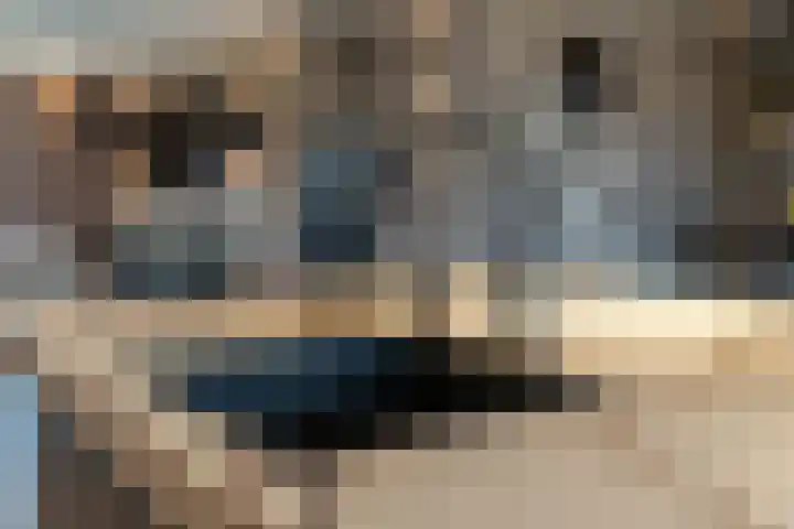 Albionstraat 24 Leunen thumbnail 30