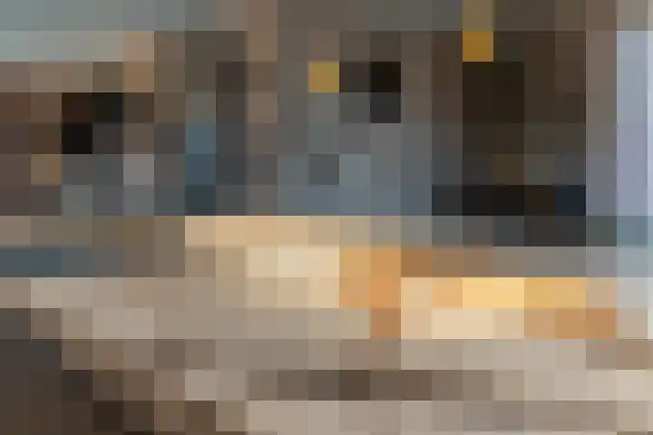 Albionstraat 24 Leunen thumbnail 31