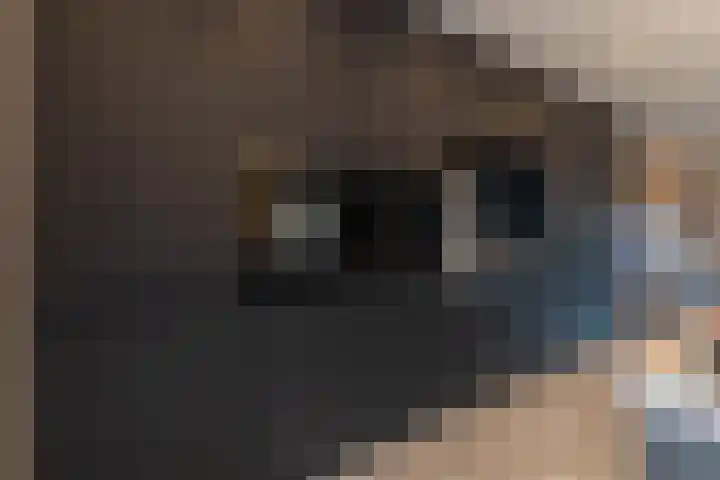Albionstraat 24 Leunen thumbnail 33