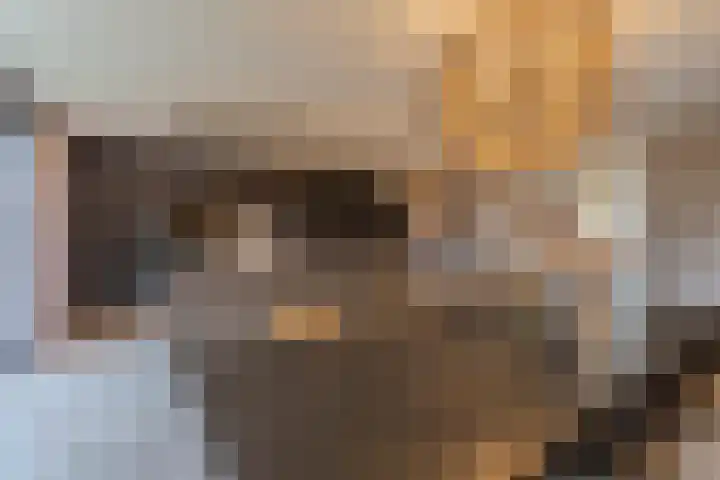 Albionstraat 24 Leunen thumbnail 39