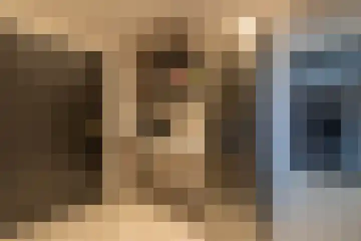 Albionstraat 24 Leunen thumbnail 50