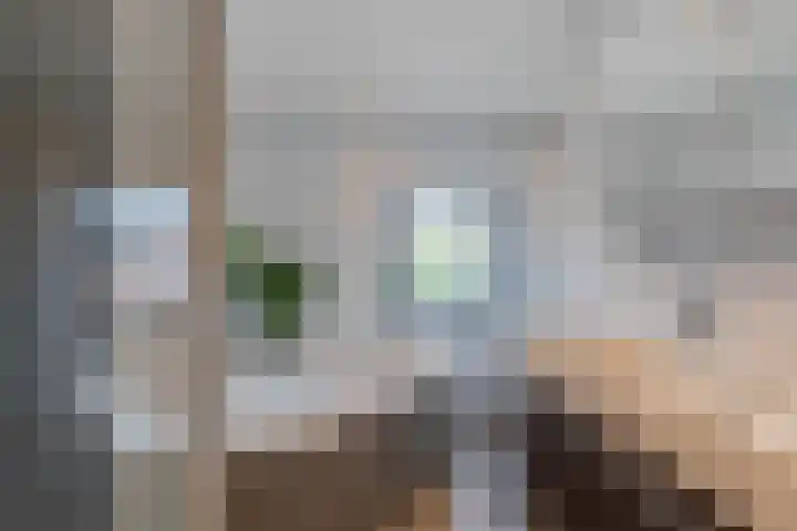 Albionstraat 24 Leunen thumbnail 64