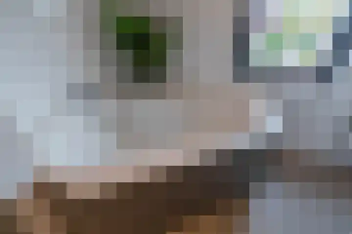 Albionstraat 24 Leunen thumbnail 65