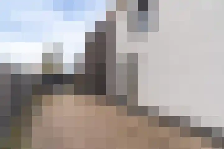 Albionstraat 24 Leunen thumbnail 9