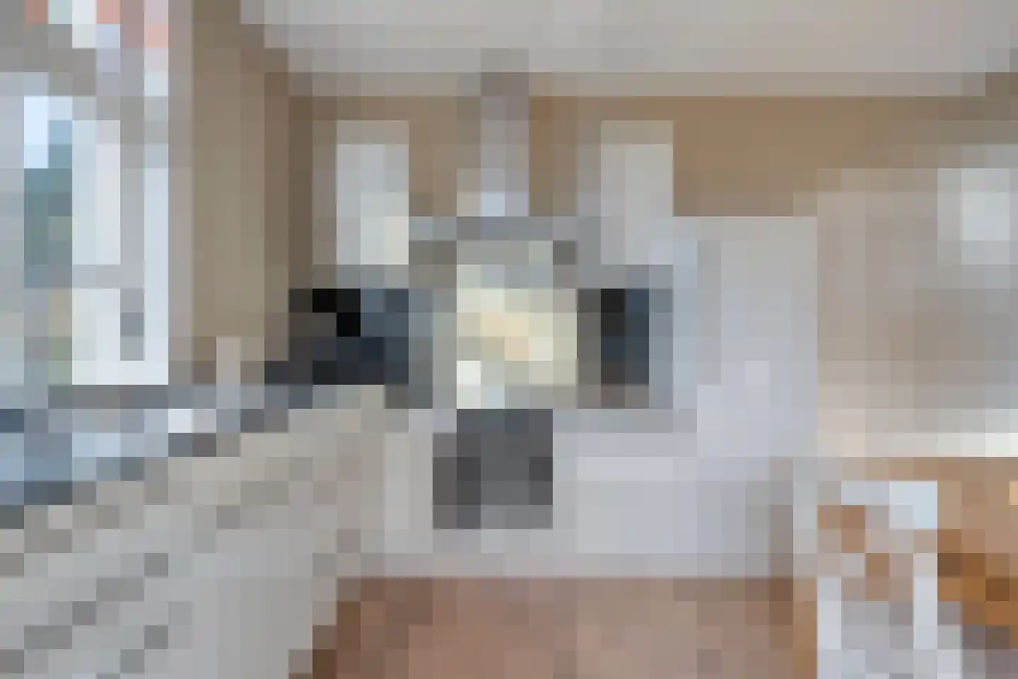 Albionstraat 51 Leunen thumbnail 18