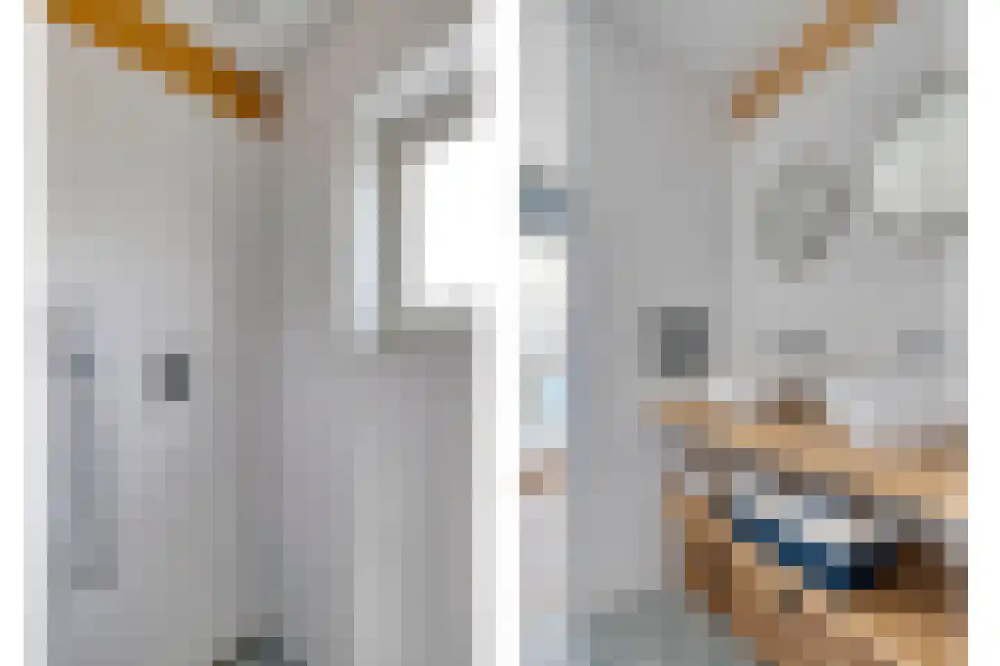 Albionstraat 51 Leunen thumbnail 29