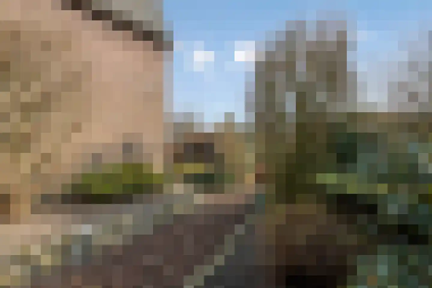 Albionstraat 51 Leunen thumbnail 54