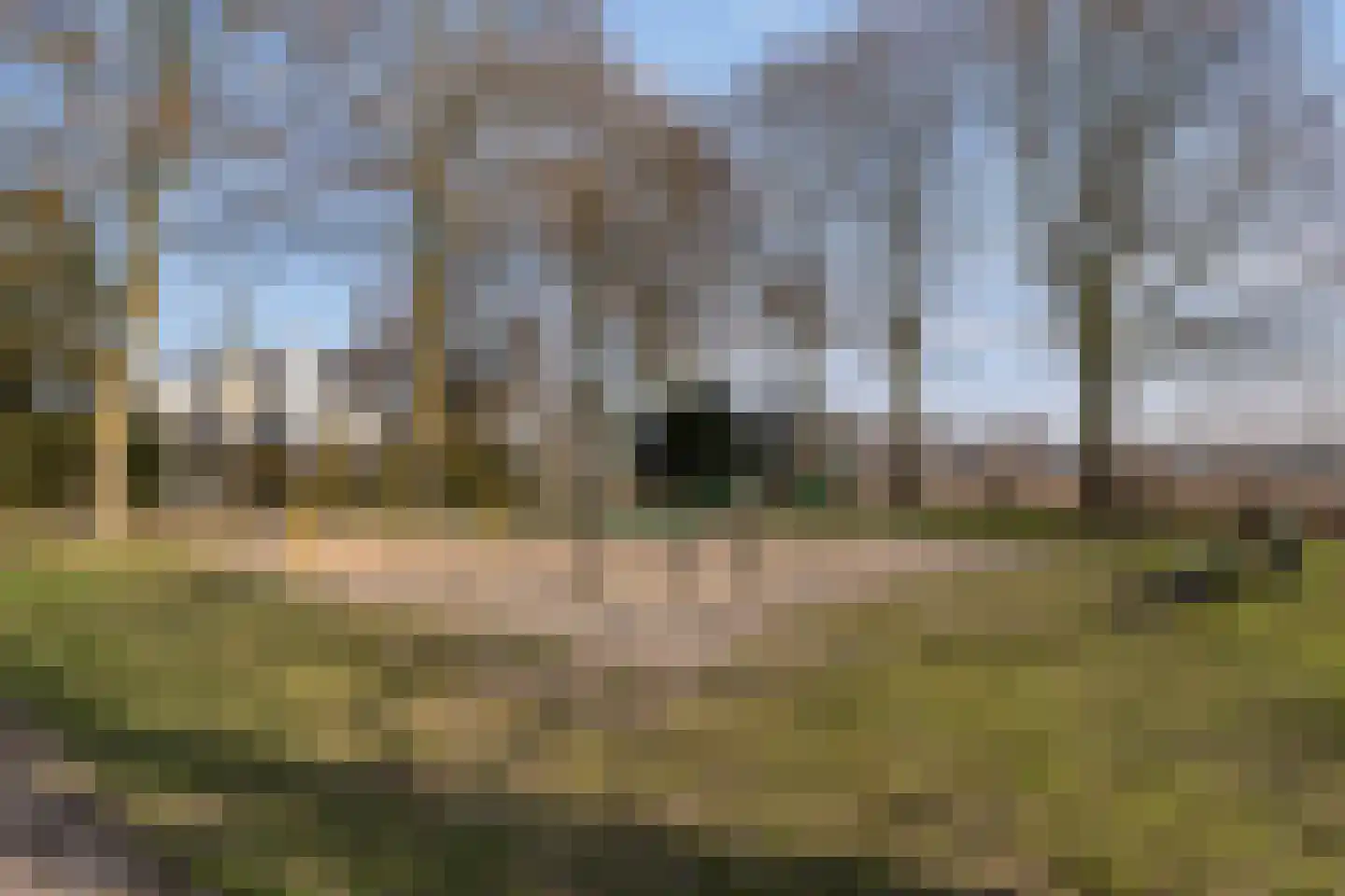 Albionstraat 51 Leunen thumbnail 75