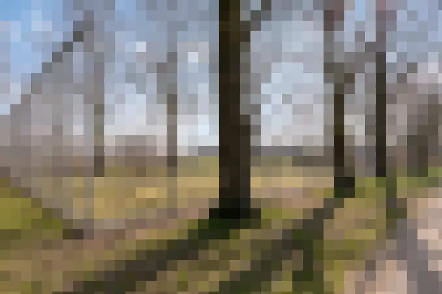 Albionstraat 51 Leunen thumbnail 76