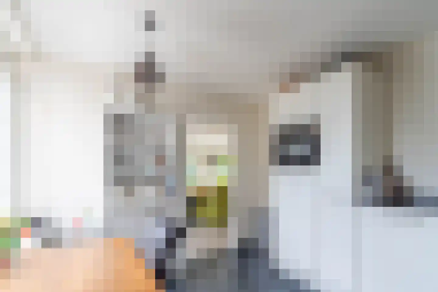 Albionstraat 55 A Leunen thumbnail 30
