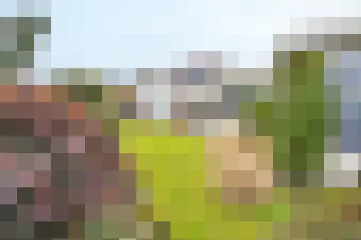 Albionstraat 8 A Leunen thumbnail 30