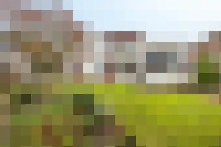 Albionstraat 8 A Leunen thumbnail 31