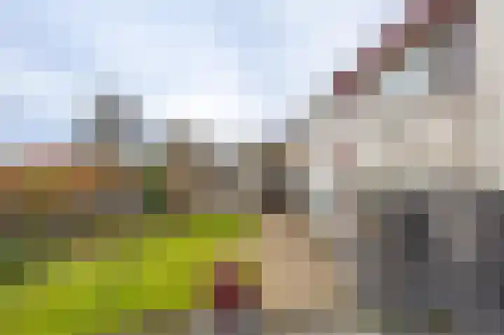 Albionstraat 8 A Leunen thumbnail 33