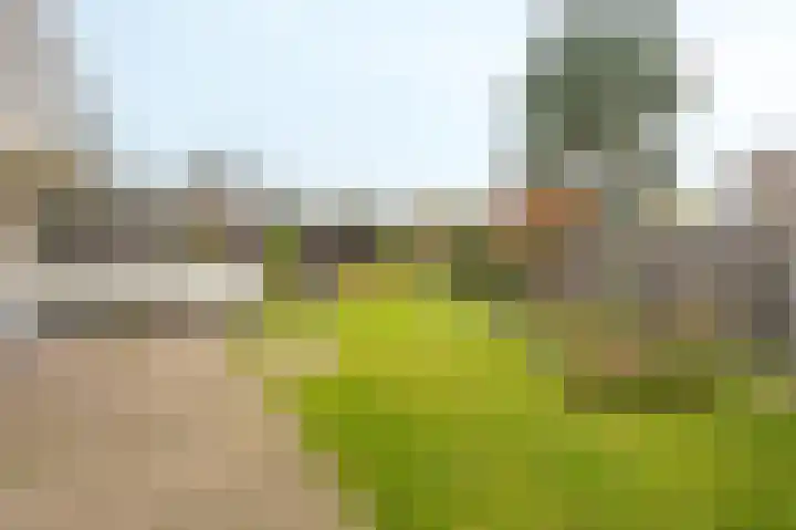 Albionstraat 8 A Leunen thumbnail 36