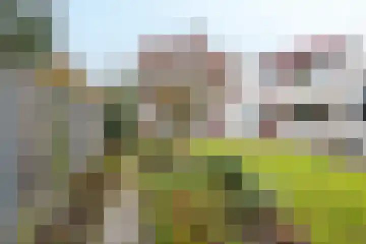 Albionstraat 8 A Leunen thumbnail 38