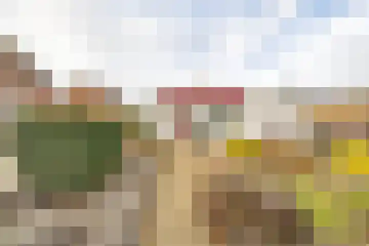 Albionstraat 8 A Leunen thumbnail 4