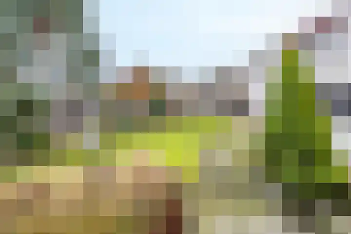 Albionstraat 8 A Leunen thumbnail 40
