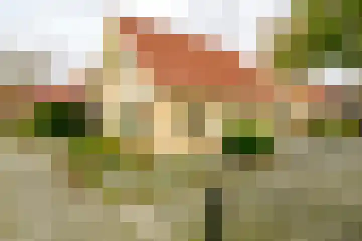 Albistraat 21 Hengelo thumbnail 38