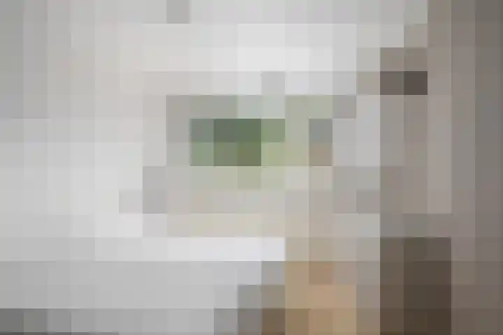 Alblas 12 Barendrecht thumbnail 18