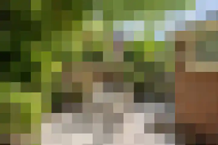Alblas 12 Barendrecht thumbnail 31