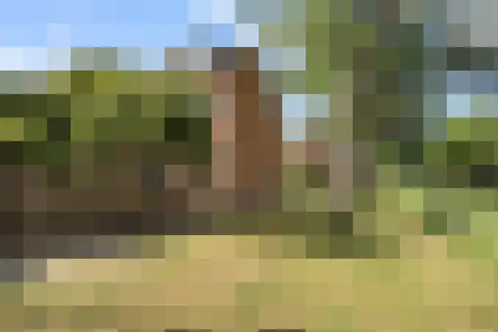 Alblas 12 Barendrecht thumbnail 34