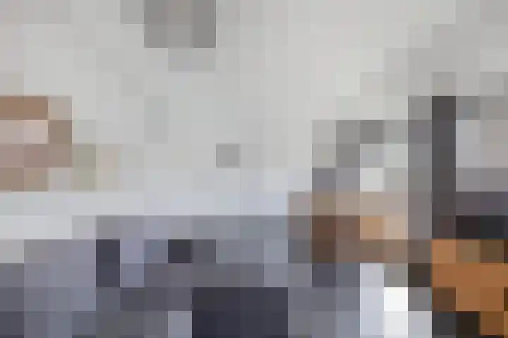 Alblas 12 Huizen thumbnail 11