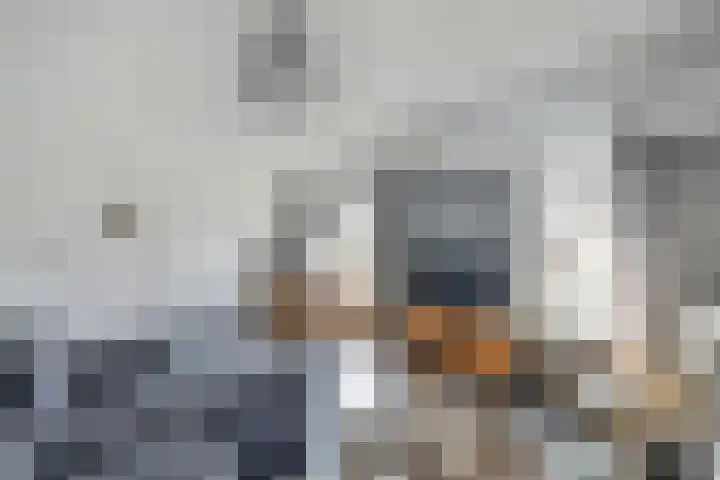 Alblas 12 Huizen thumbnail 12