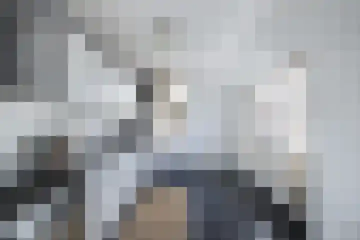 Alblas 12 Huizen thumbnail 14