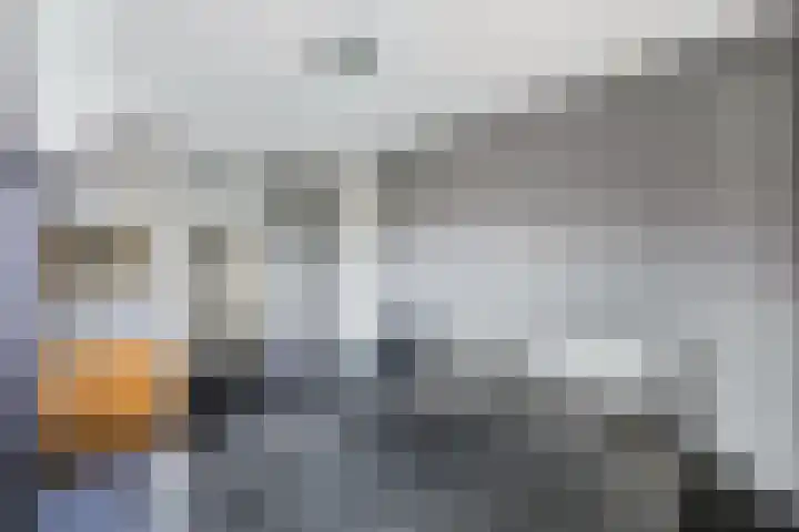 Alblas 12 Huizen thumbnail 18