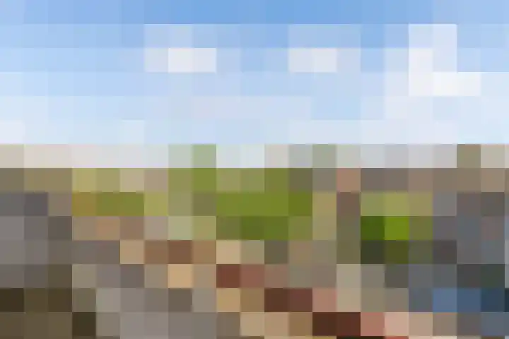 Alblas 12 Huizen thumbnail 21