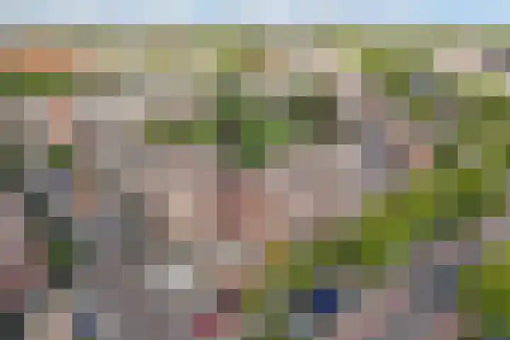 Alblas 12 Huizen thumbnail 4