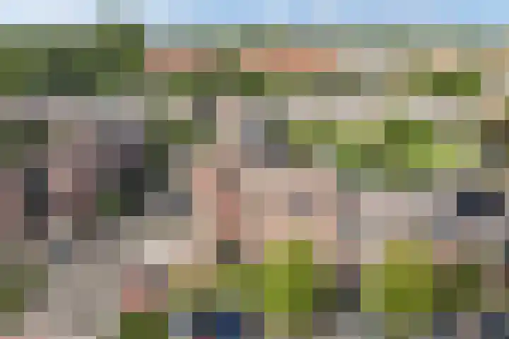 Alblas 12 Huizen thumbnail 5