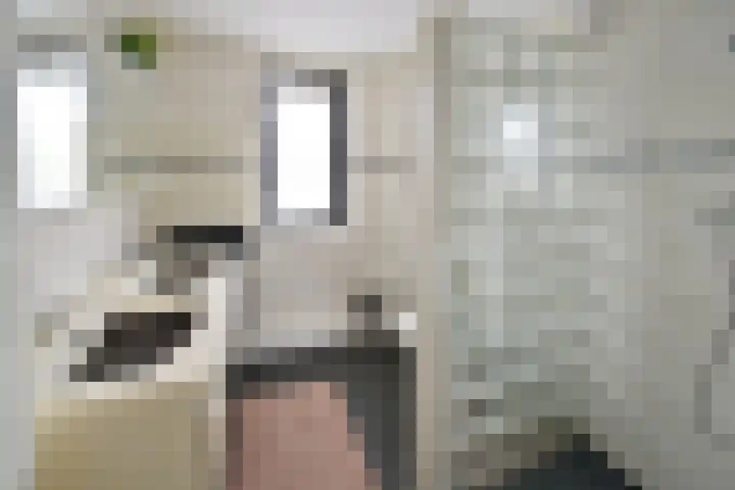 Alblas 20 Huizen thumbnail 10