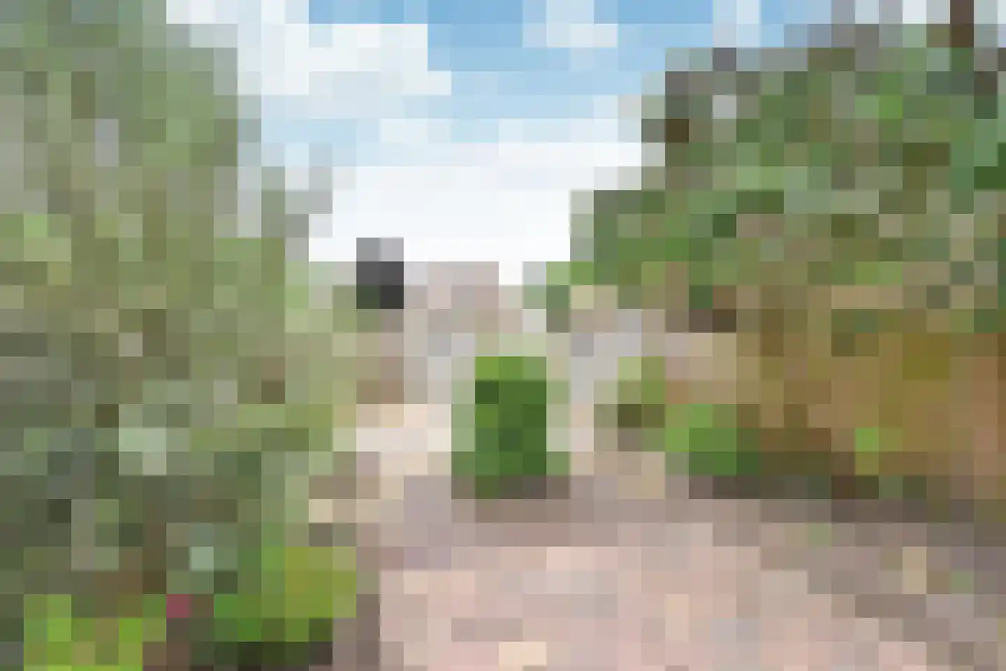 Alblas 20 Huizen thumbnail 13