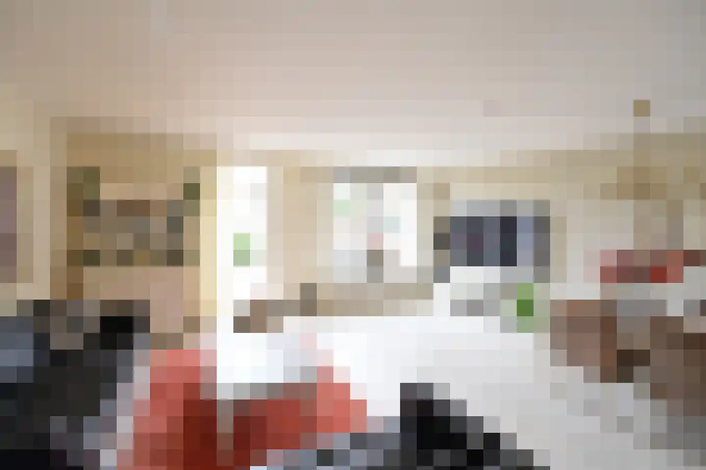 Alblas 20 Huizen thumbnail 4