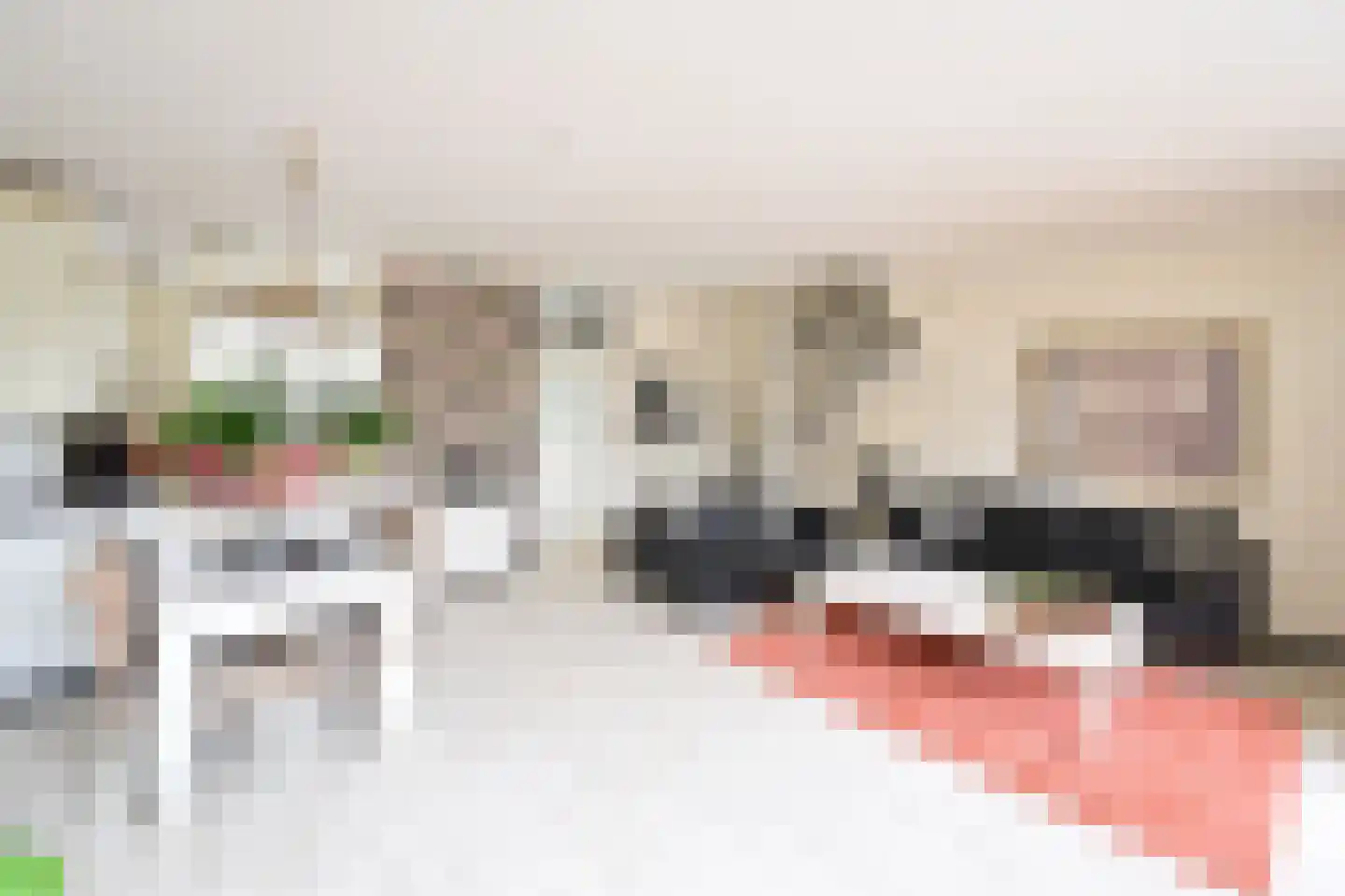 Alblas 20 Huizen thumbnail 5
