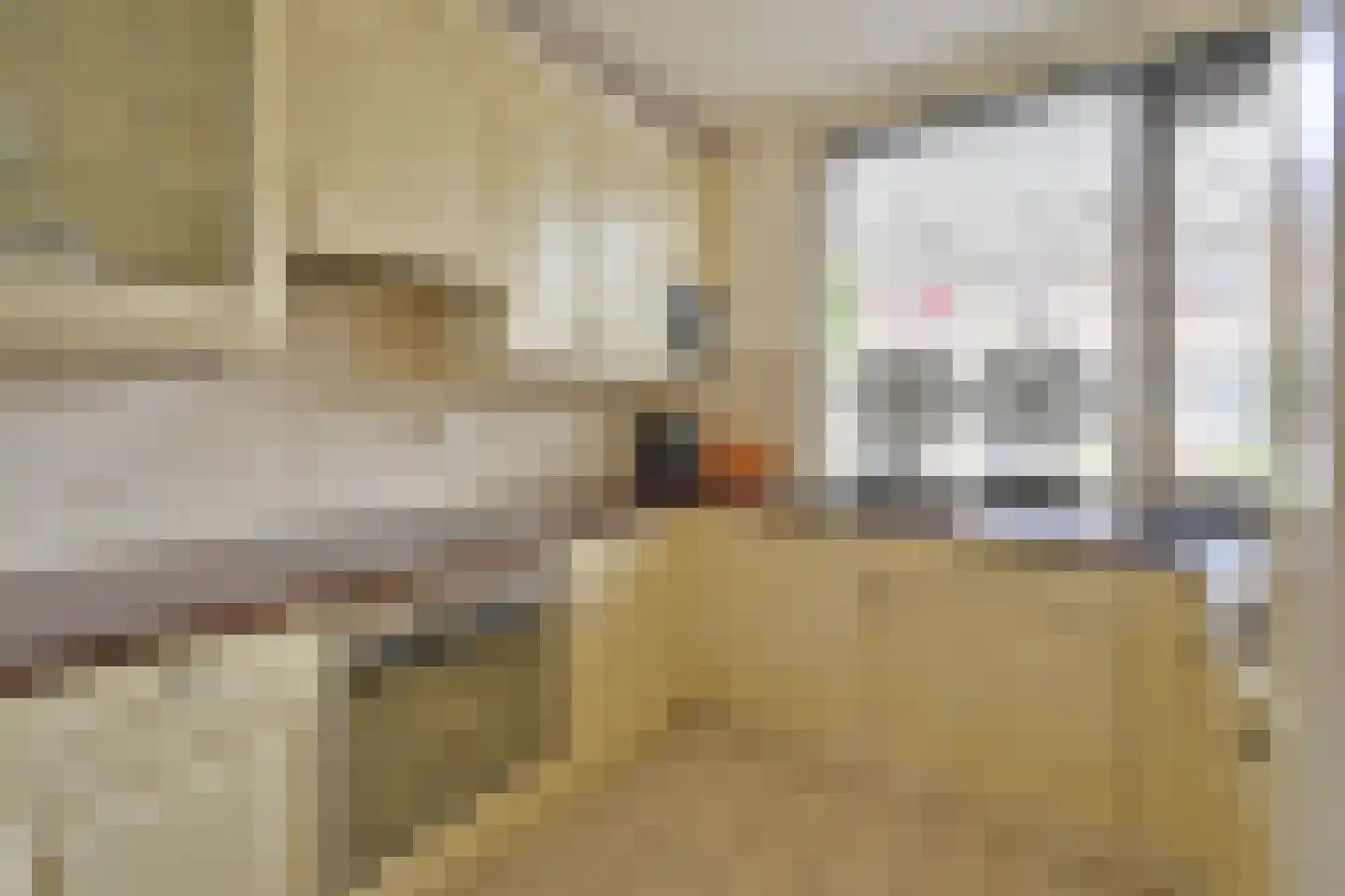 Alblas 20 Huizen thumbnail 6