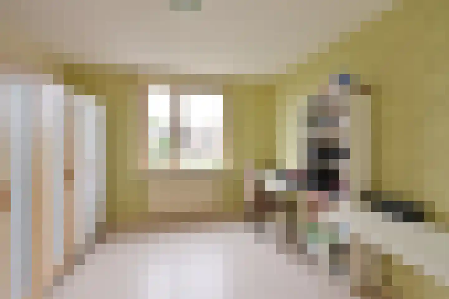 Alblas 20 Huizen thumbnail 9
