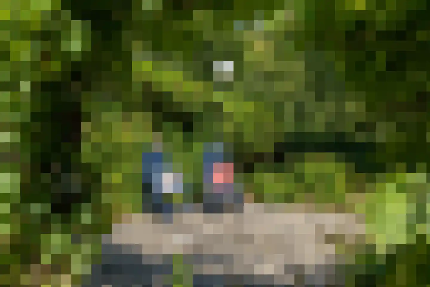 Alblasserdamstraat 33 Arnhem thumbnail 32