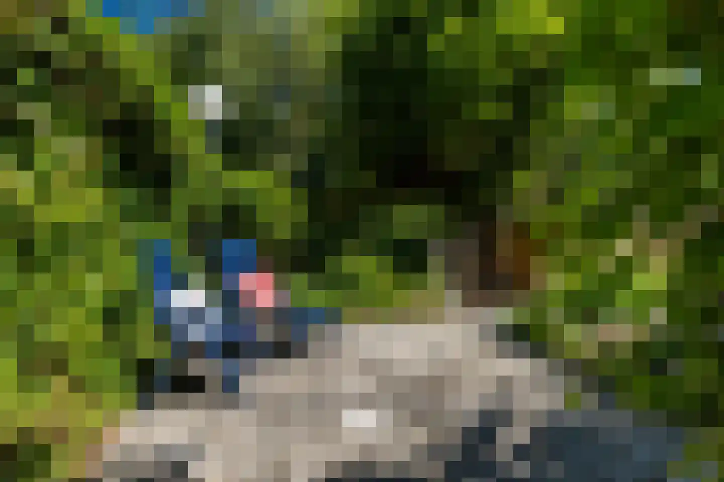 Alblasserdamstraat 33 Arnhem thumbnail 33