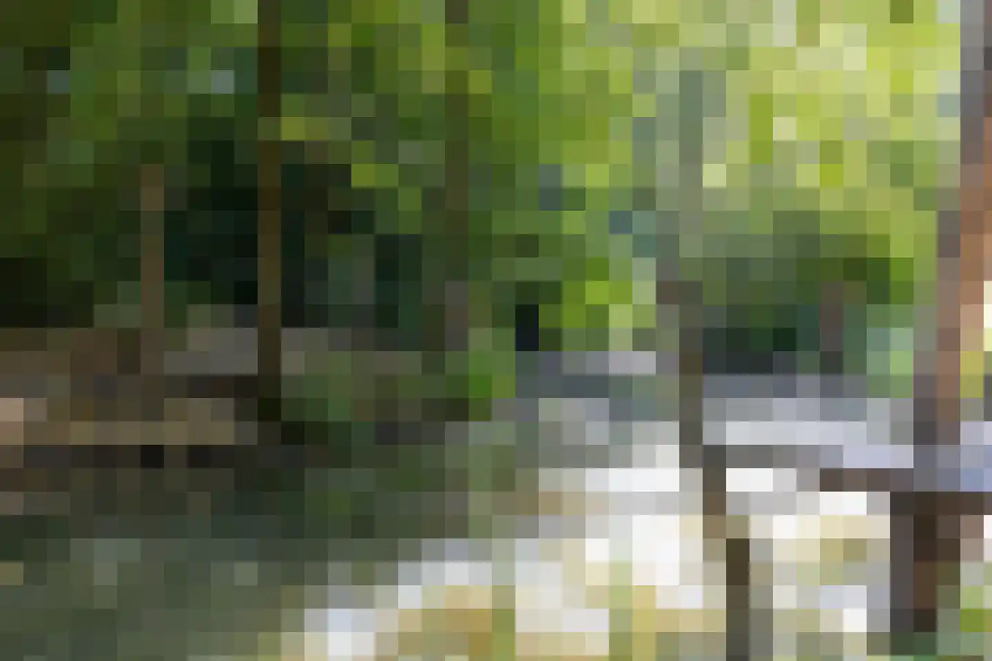 Alblasserdamstraat 33 Arnhem thumbnail 37