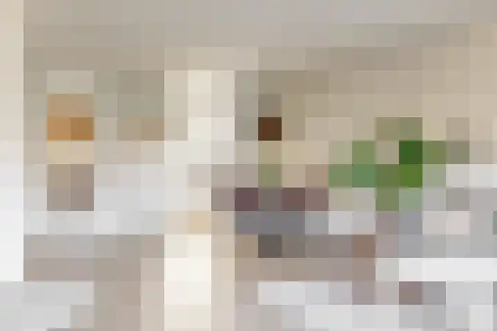 Alblasserschans 22 Nieuwegein thumbnail 6