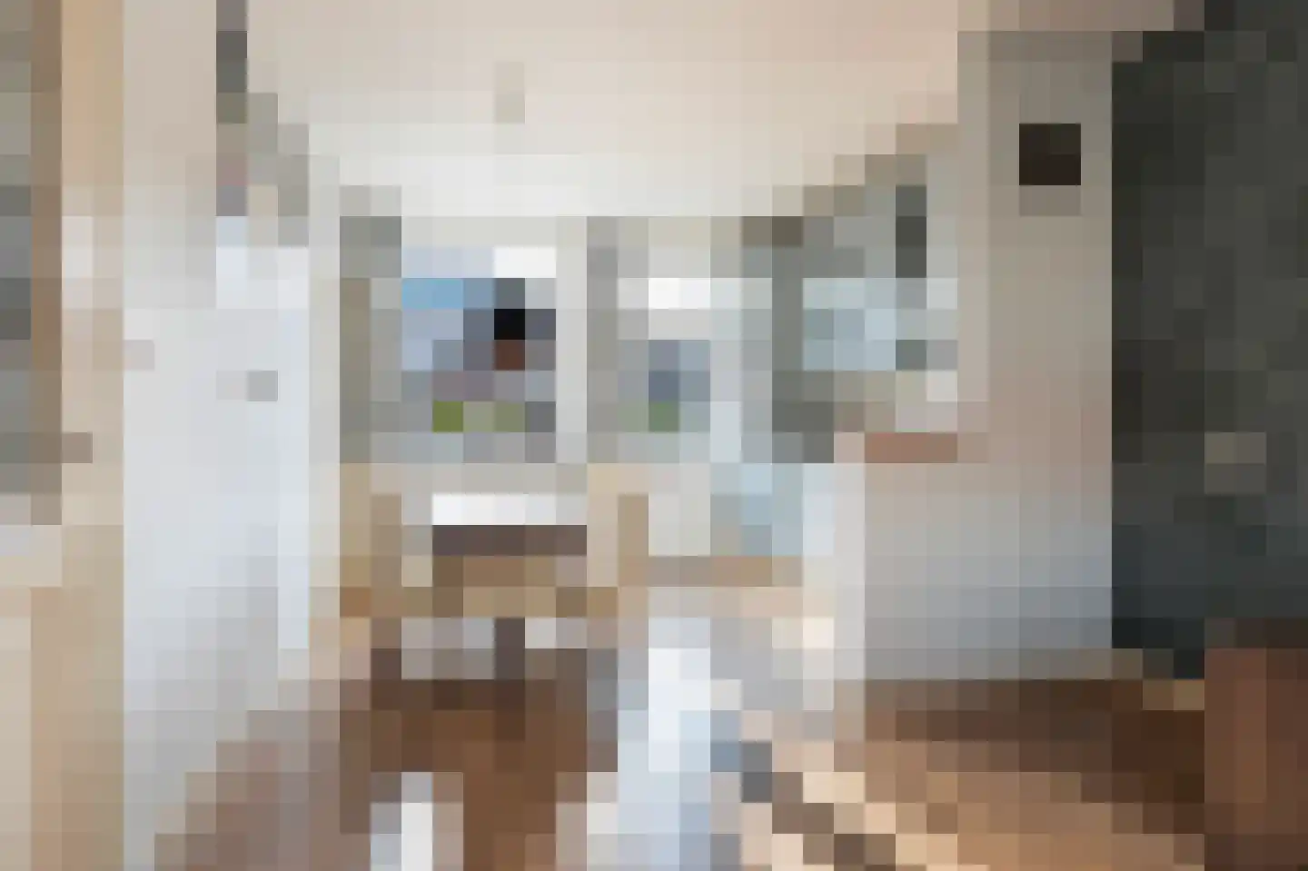 Alblasstraat 15 Dordrecht thumbnail 17