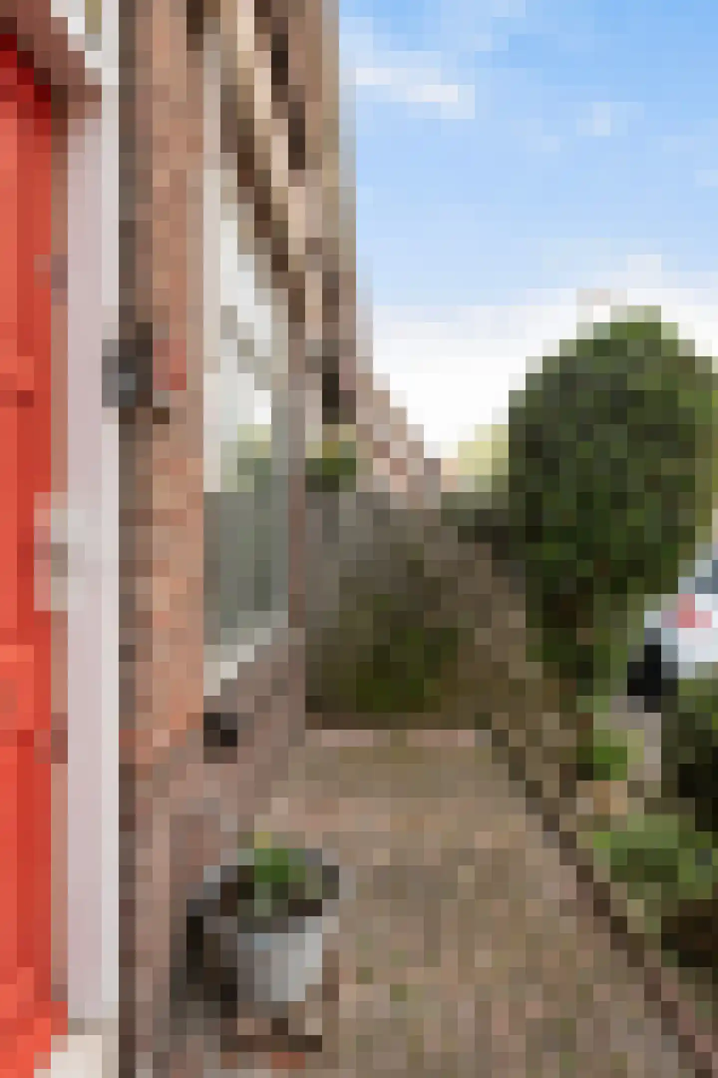 Alblasstraat 15 Dordrecht thumbnail 8