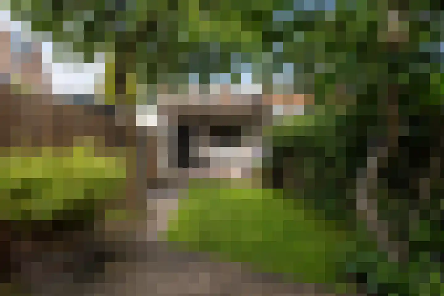 Alblasstraat 27 Utrecht thumbnail 10